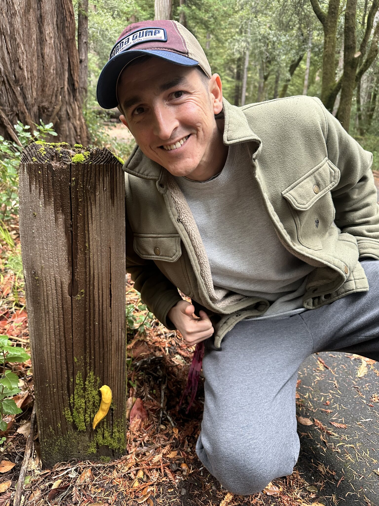 Portola Redwood Forest